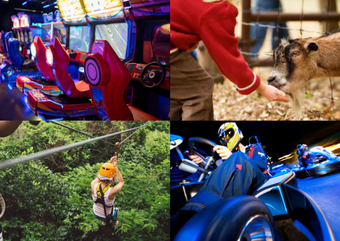 Image of Established Outdoor Adventure & Entertainment Venue