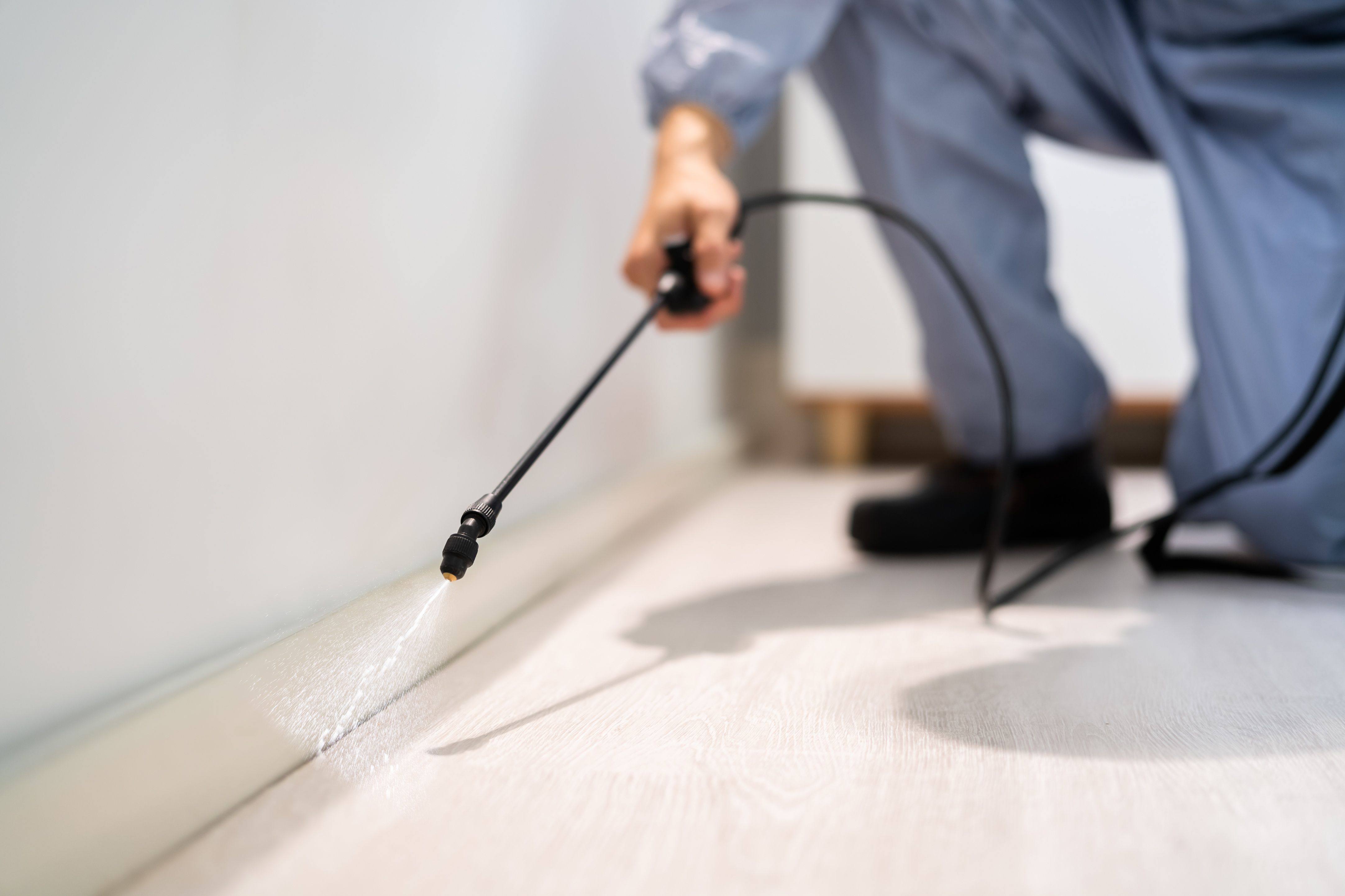 Image of Established Pest Control Business with Strong Recurring Revenue