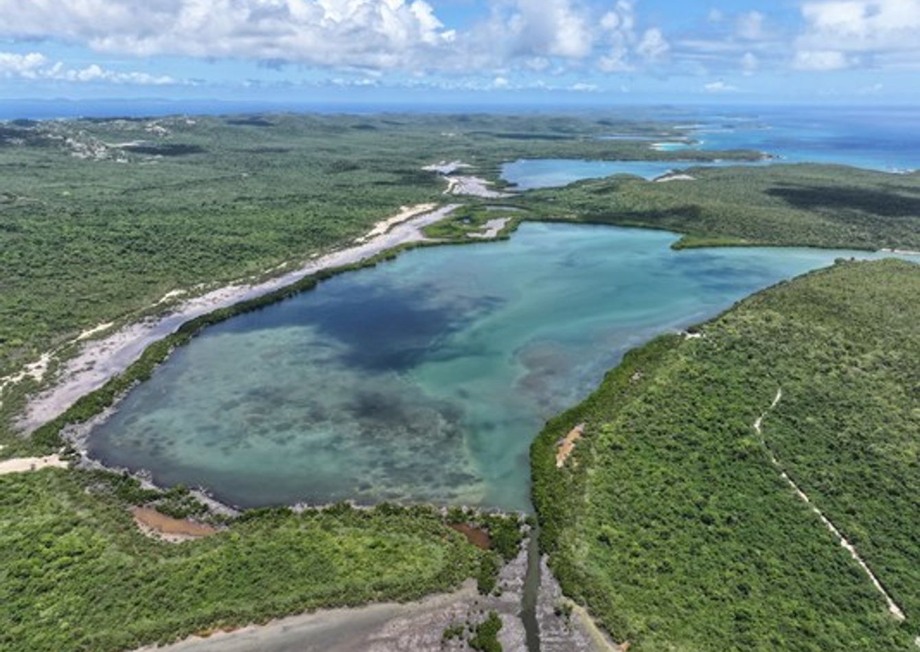 DJI_20260323175716_0033_D (3).jpg
