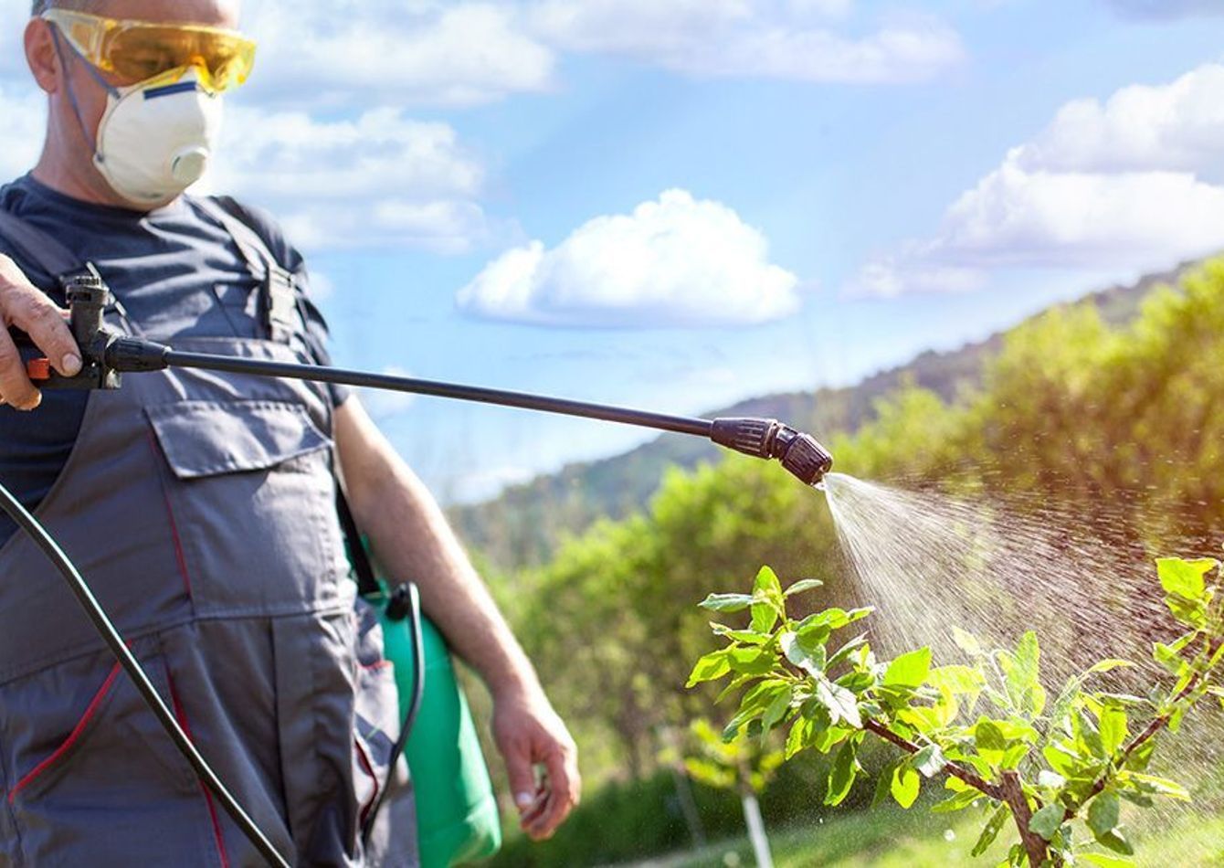 Image of Premier Landscaping Pesticide Application Service Business For Sale