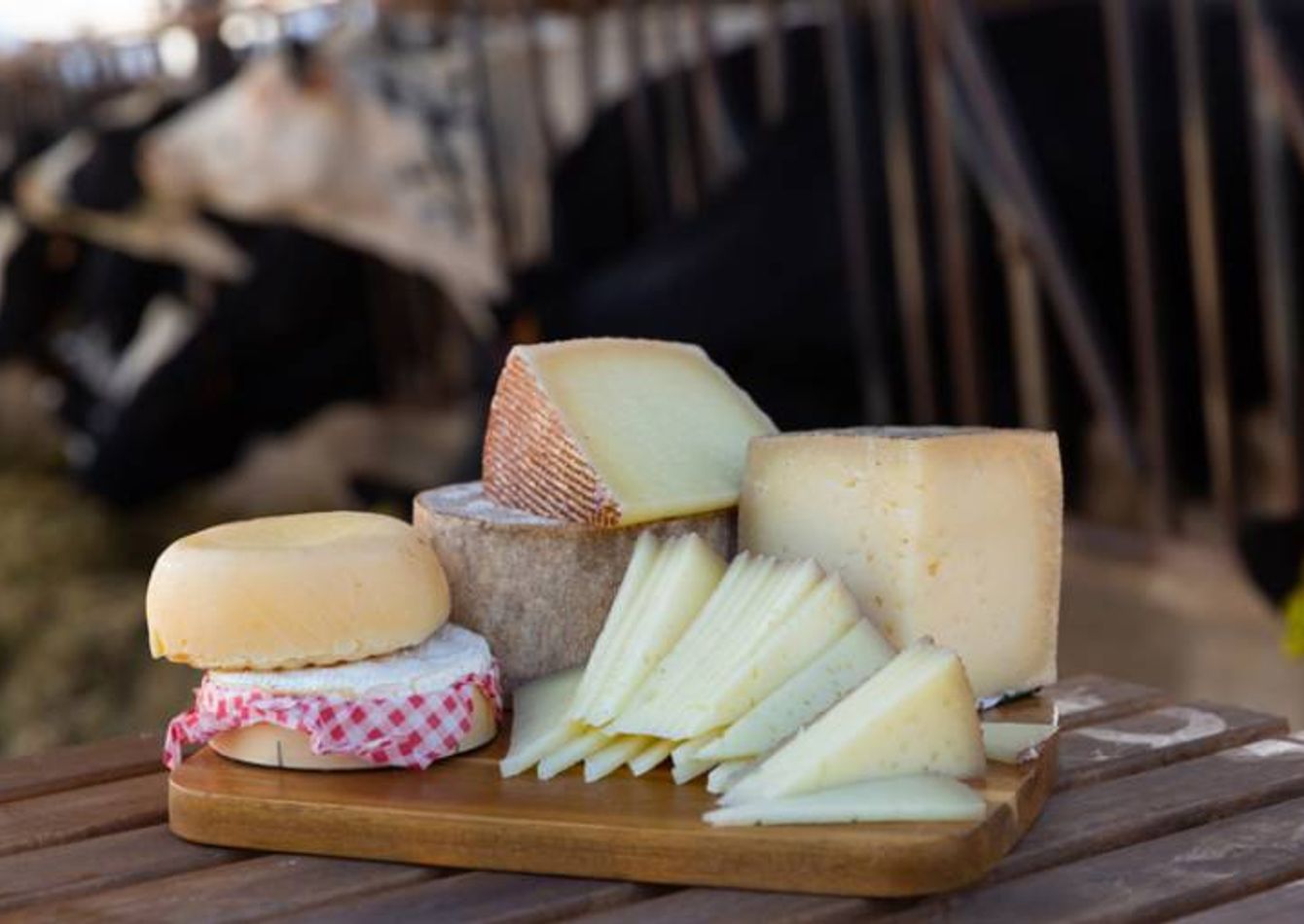 Image of Award-Winning Artisan Cheese & Dairy Manufacturer