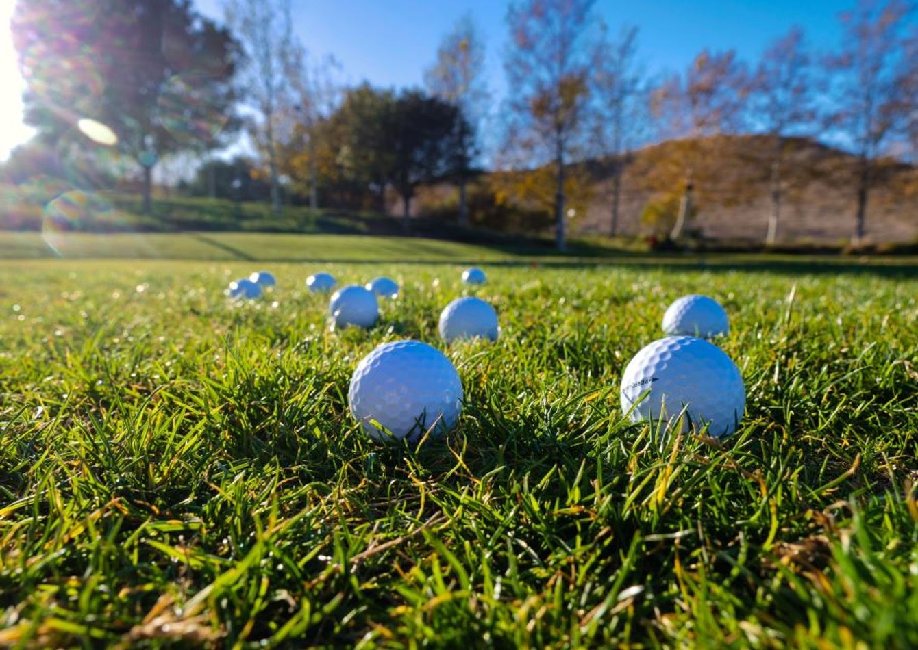 Image of Golf Simulation company with Two Locations