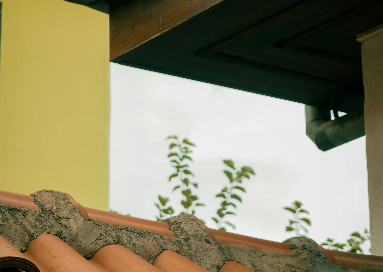 Image of Exterior Home Improvement Company  Listing ID N1047