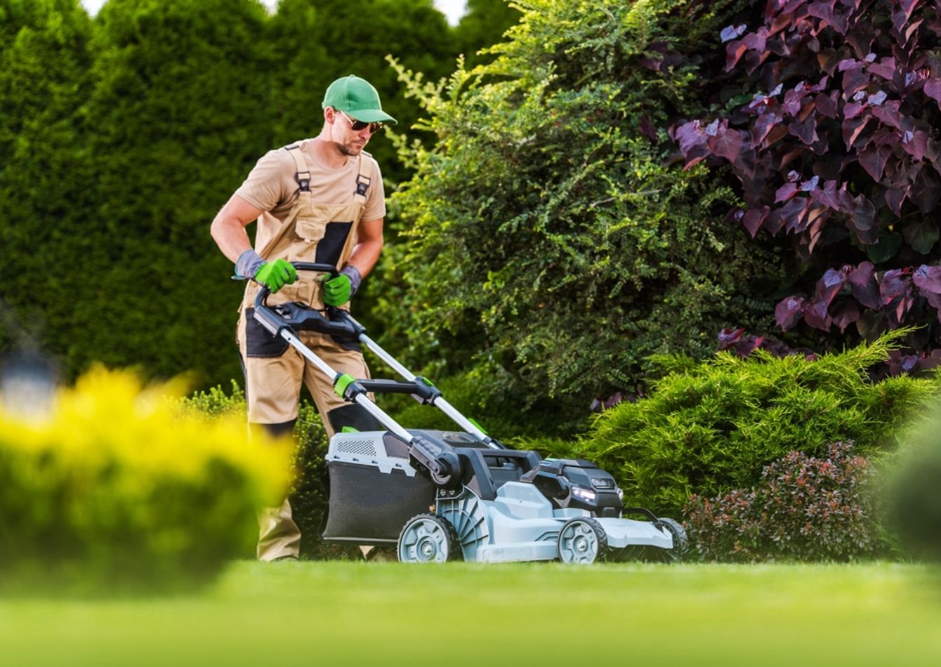 Image of Established Landscape Company  Adj. EBITDA $486K SA1741