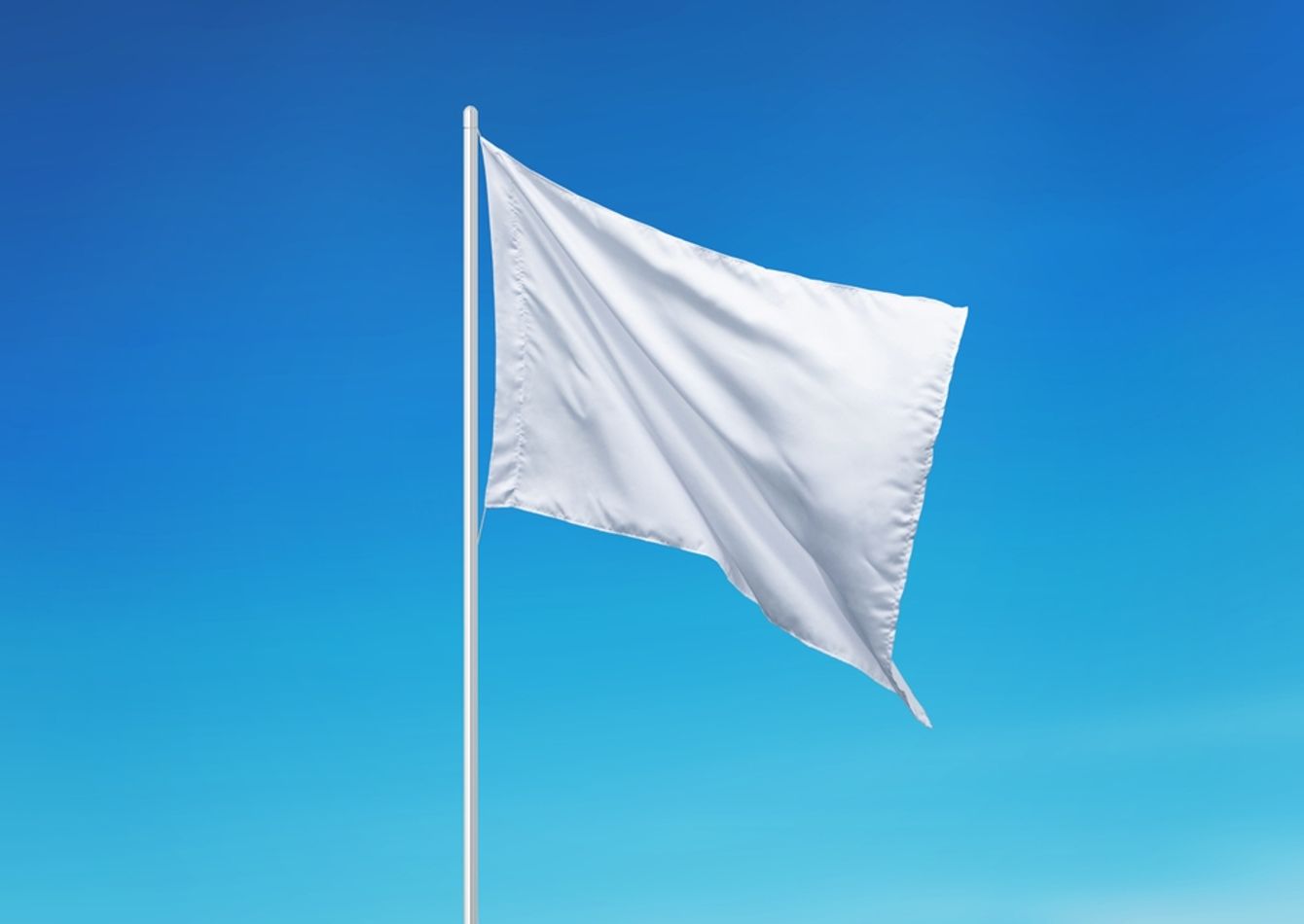 Custom Flag.jpg