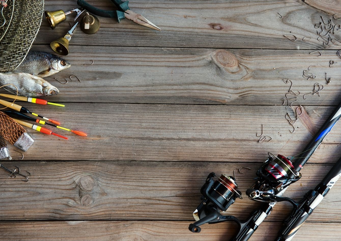 Image of Established Twin Cities Metro Bait & Tackle Retailer with E-Commerce Growth 59034