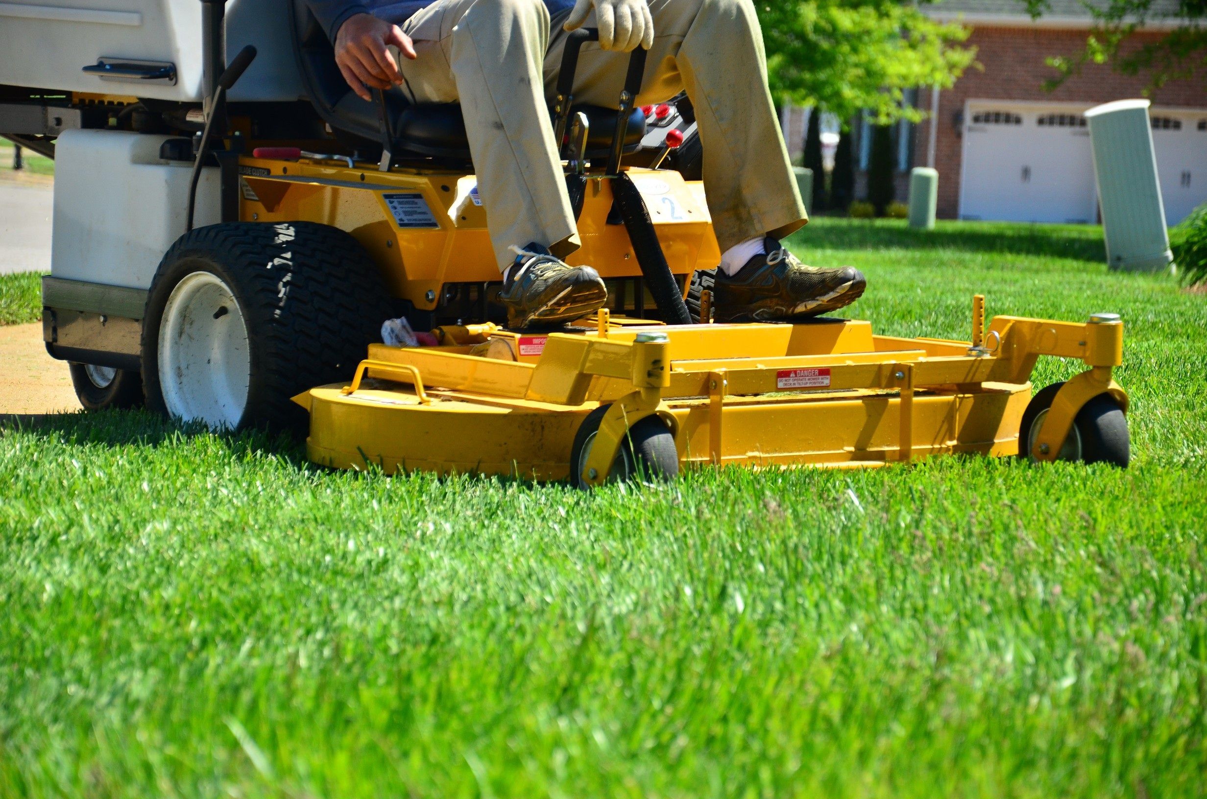 Image of Lawn Care & Landscaping Business