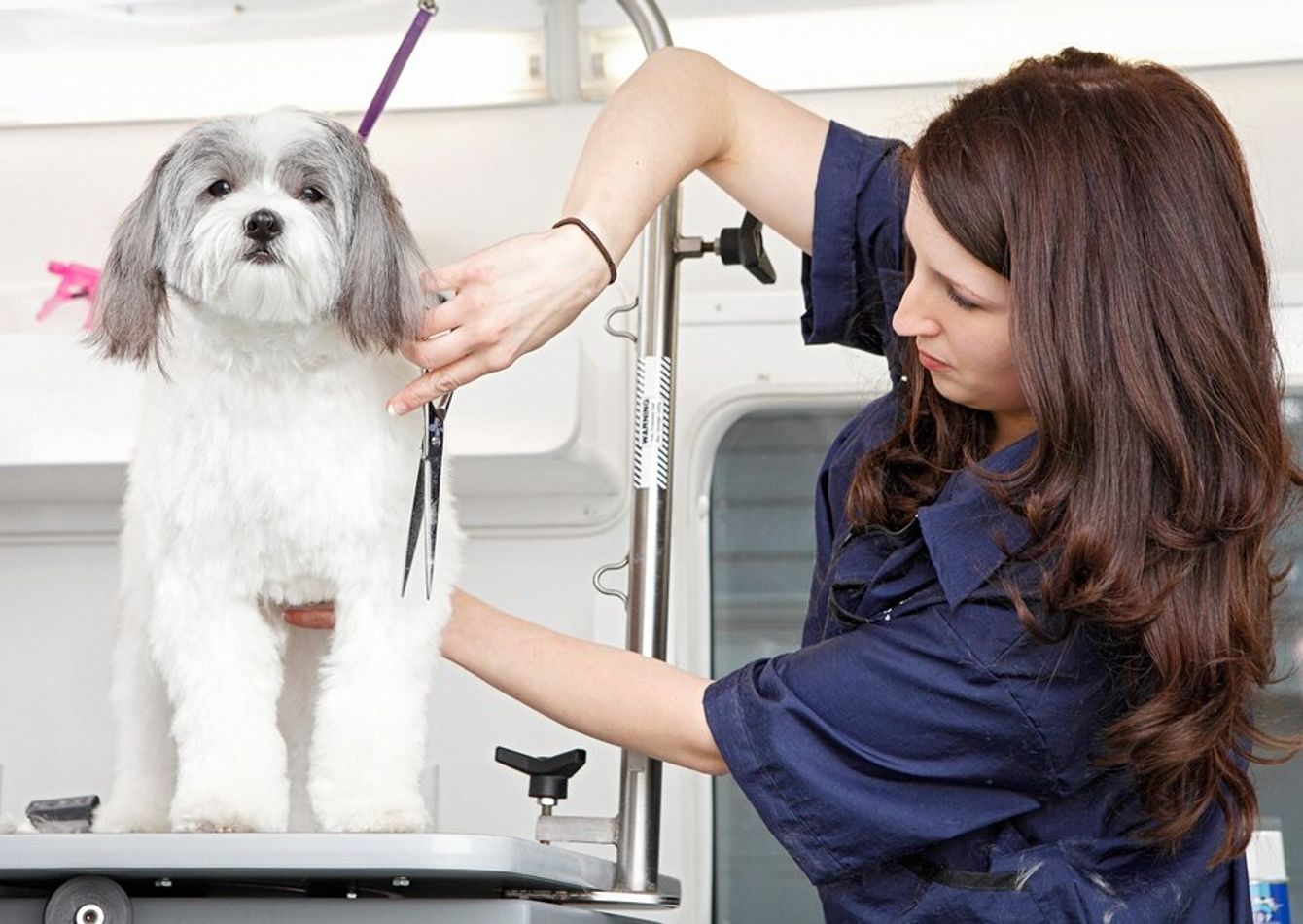 Businesses for Sale in Kern County, CA | Sunbelt Network