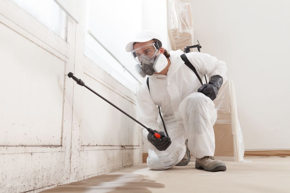 Image of Established - High Margin Pest Control Services Company